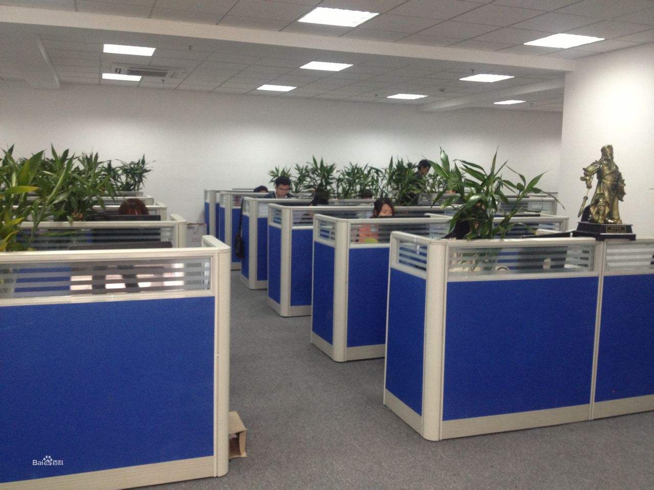 ��˾����